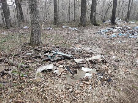 Во Владивостоке инспекторы Росприроднадзора выявили свалку отходов в водоохранной зоне реки Богатая