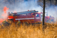 22 природных пожара ликвидировали за сутки в Приморье