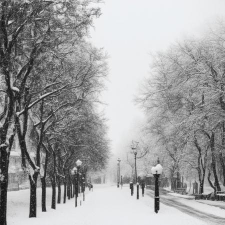 Снег, дождь и гололед: какие сюрпризы преподнесет погода в Приморье на новой неделе