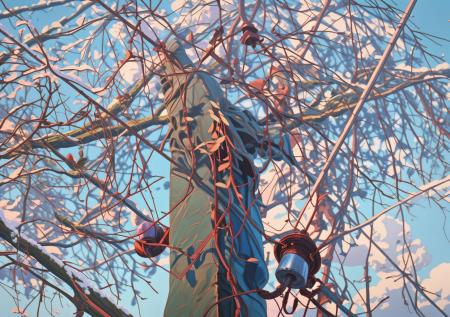 Снежный апокалипсис в Приморье завершился блэкаутом: снег и ветер порвали магистральную ЛЭП